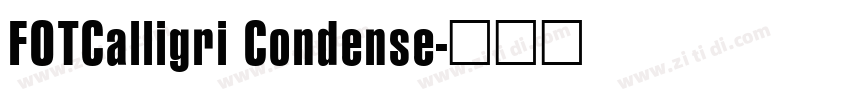 FOTCalligri Condense字体转换